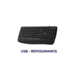 Teclado Genius Kb-123 USB Reposamanos Antiderrames